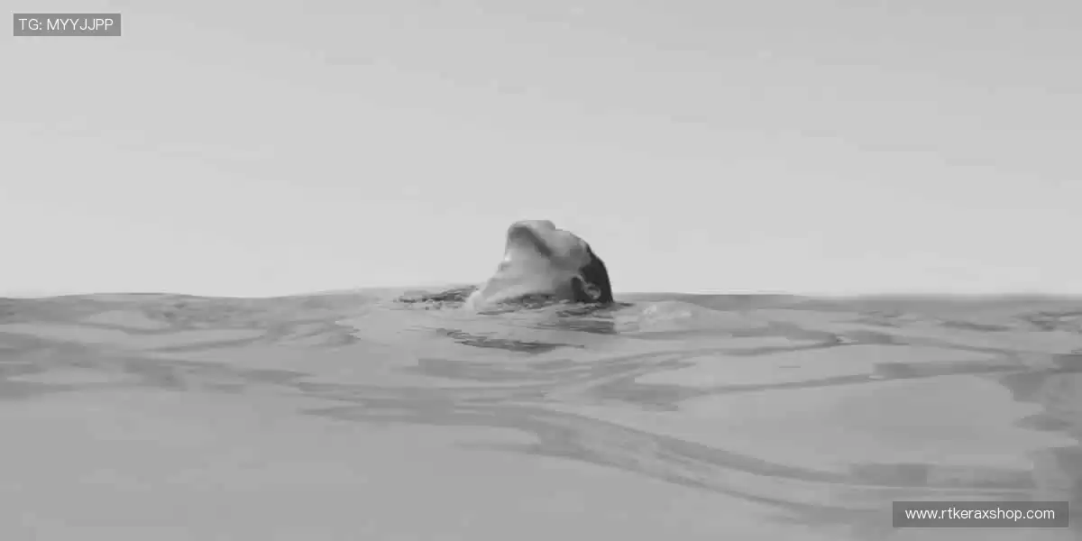 零时差直播,精彩不错过!📺